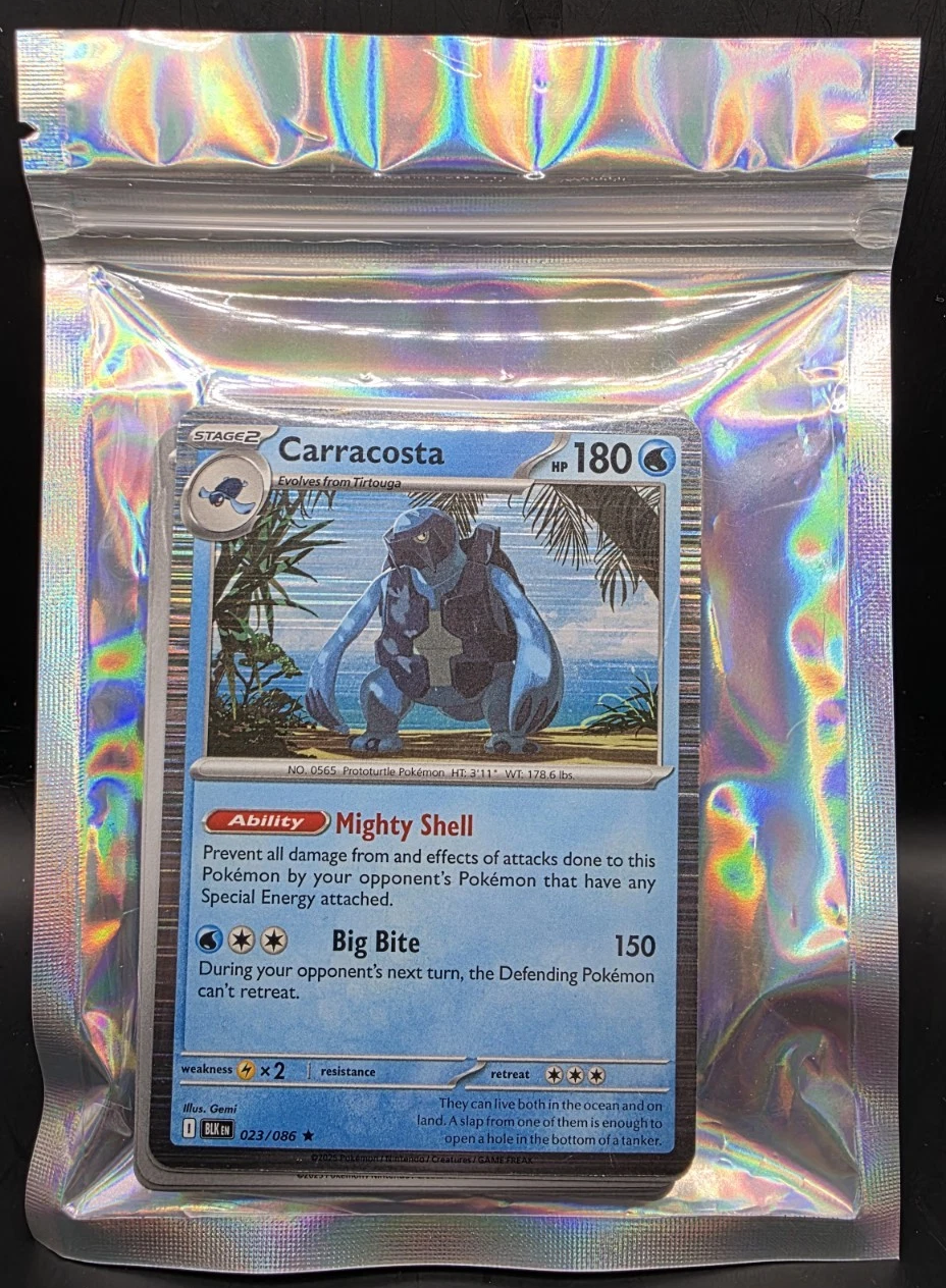 Pokémon TCG Mystery Repack Pack 25-35 Random Cards Holo Bag