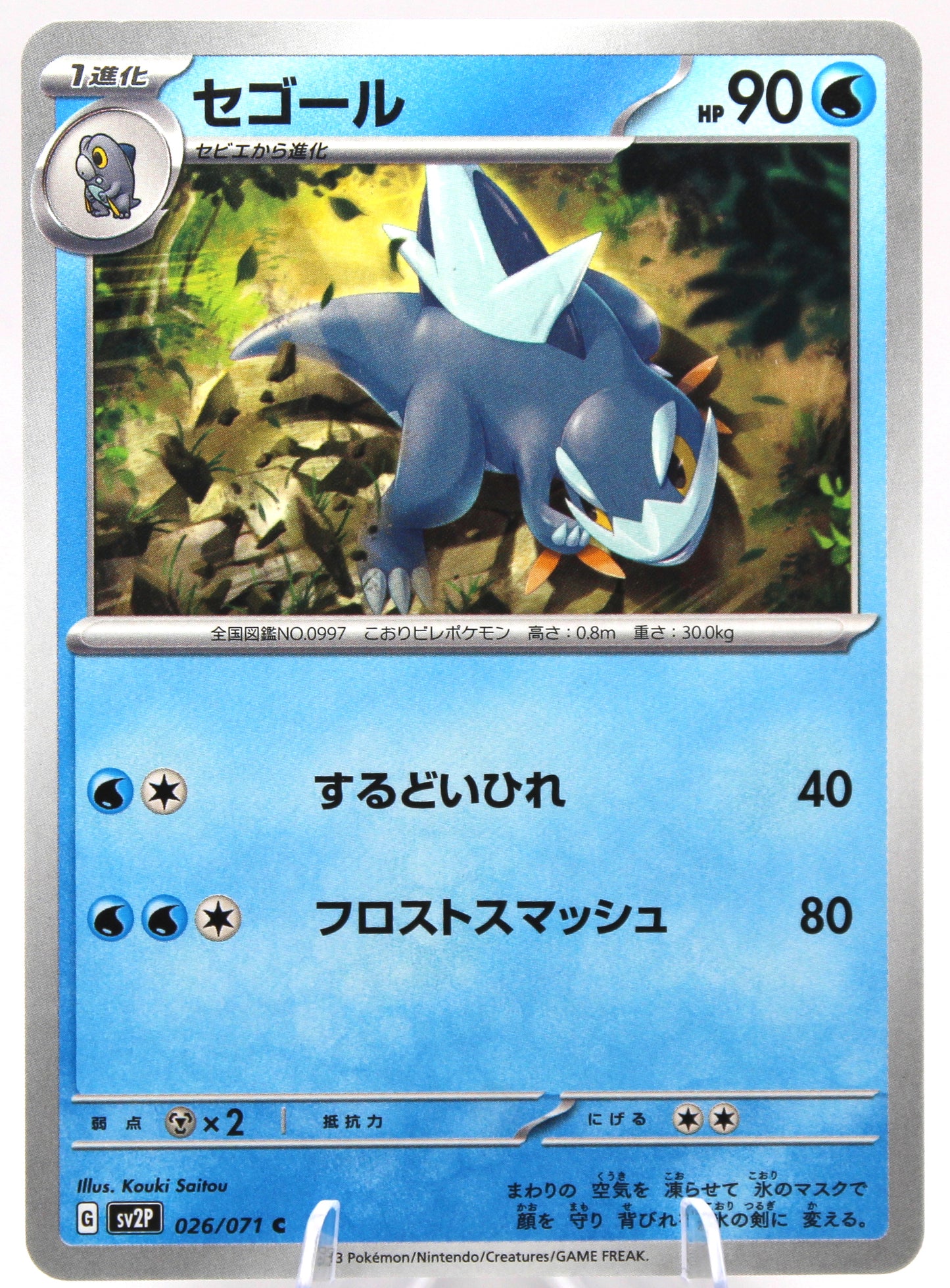 Pokémon TCG – Cetoddle (026/071 C) – Japanese – SV2P Snow Hazard – Non‑Holo – NM
