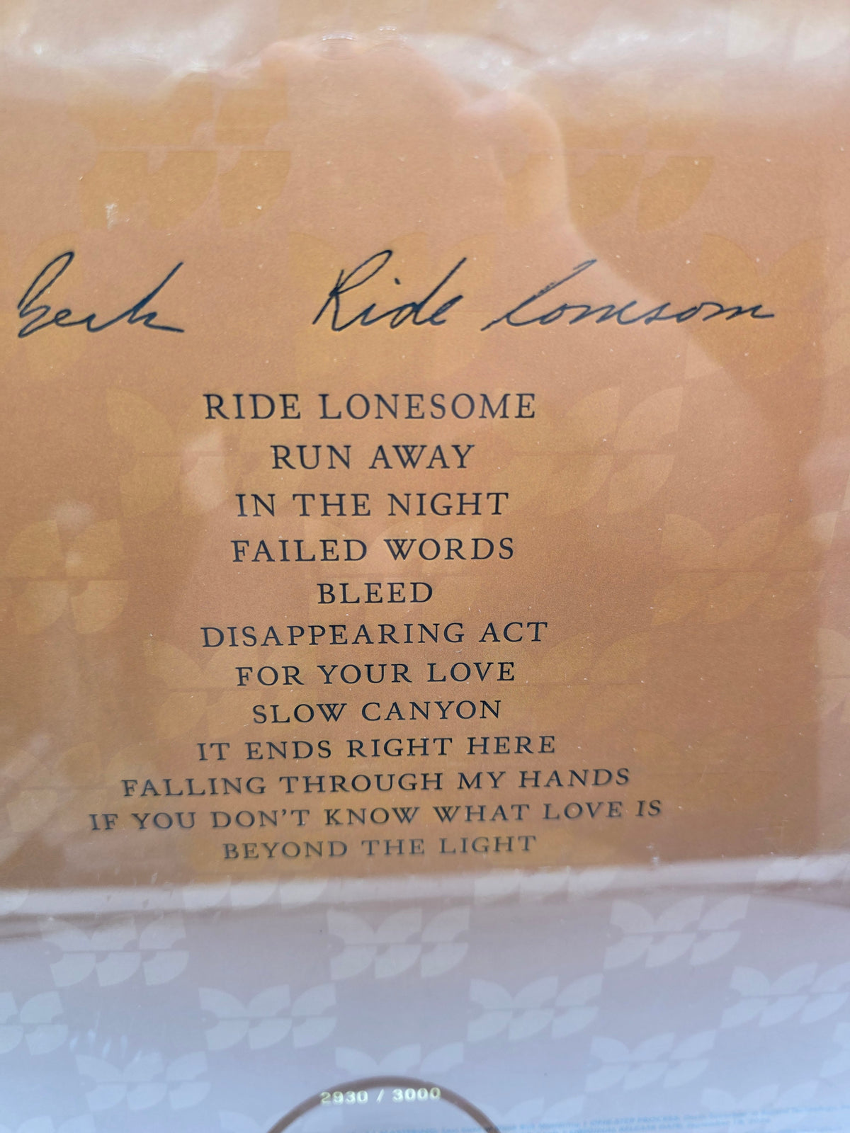 Beck Ride Lonesome DSS One-Step tracklist close-up twelve songs