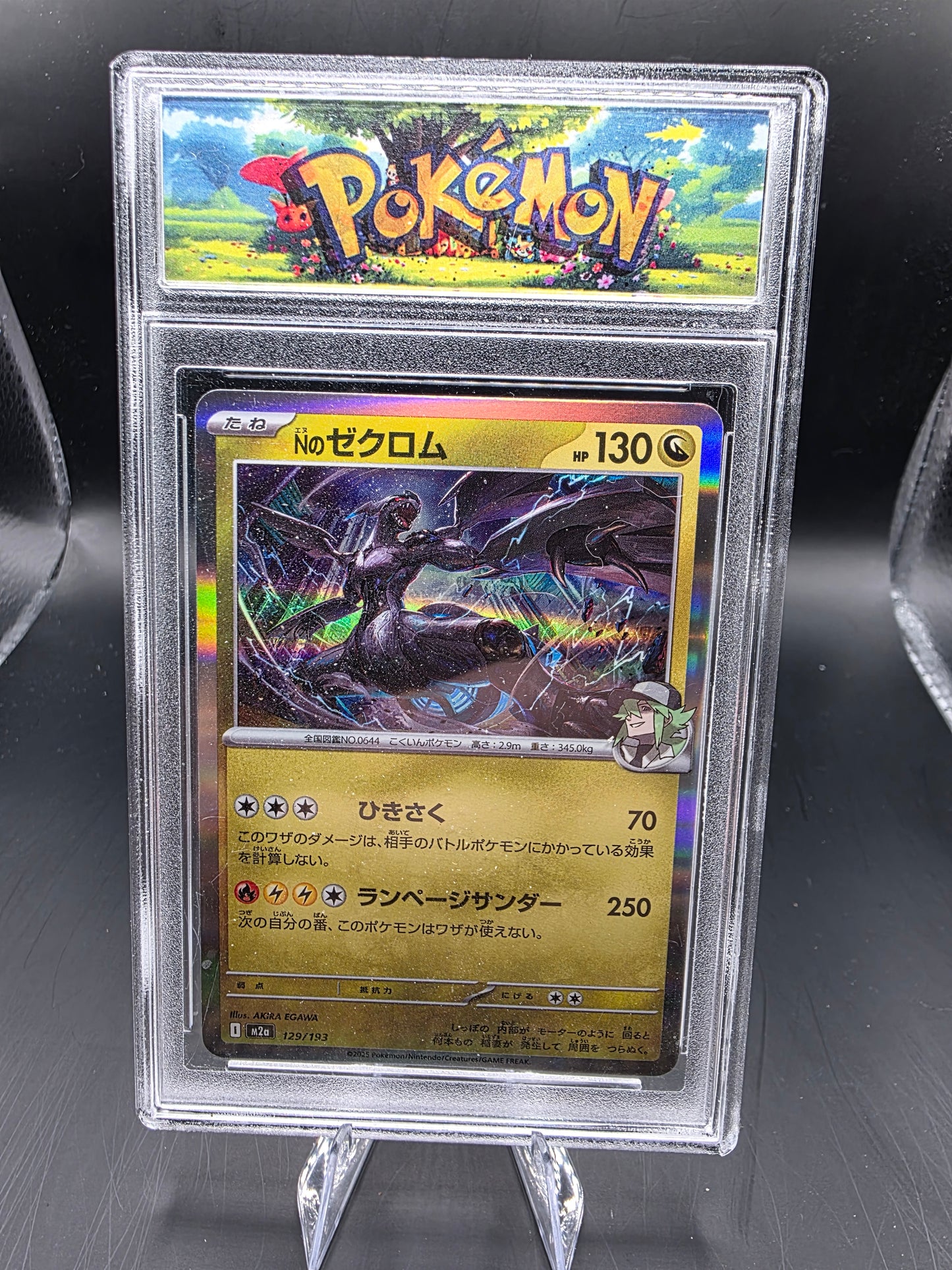 10-CARD JAPANESE POKÉMON TCG COLLECTION IN CUSTOM SLABS