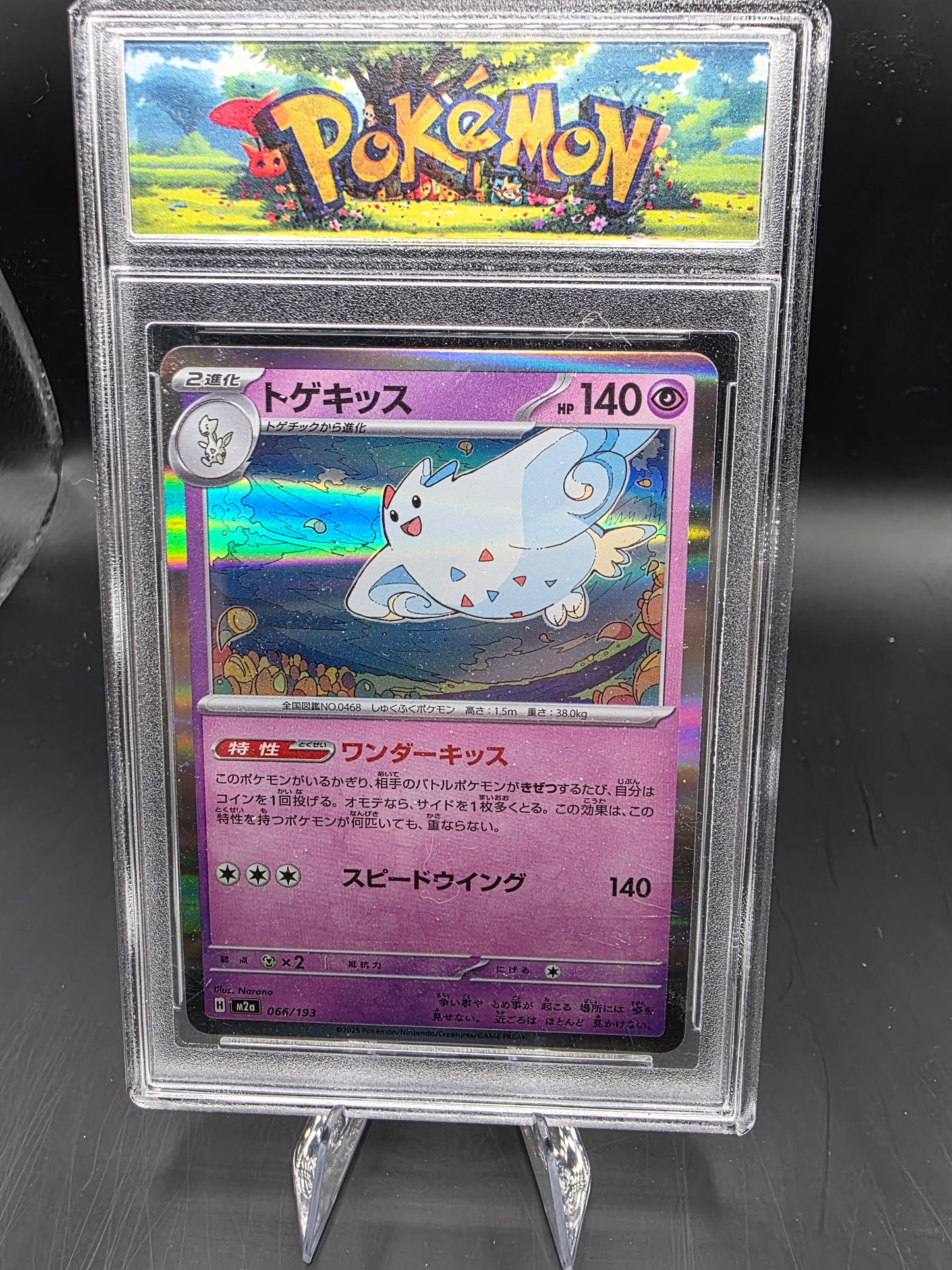 10-CARD JAPANESE POKÉMON TCG COLLECTION IN CUSTOM SLABS