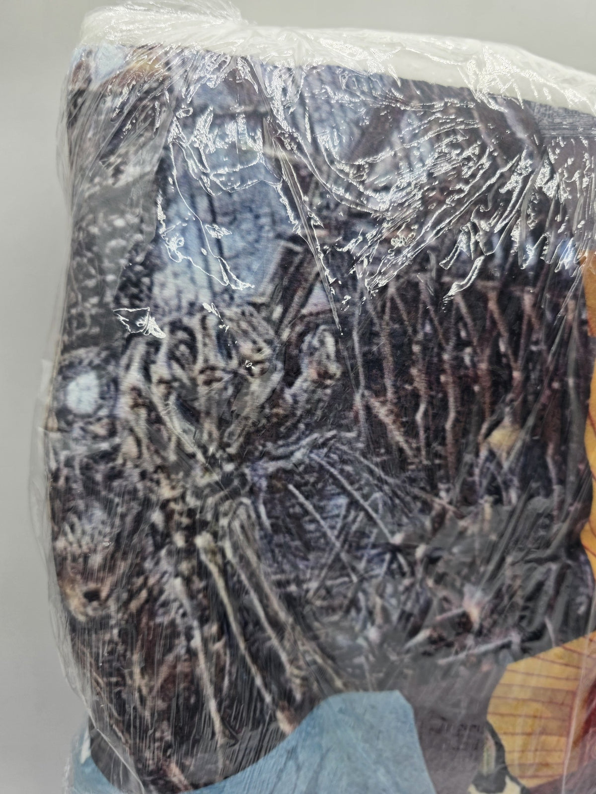 Side artwork detail